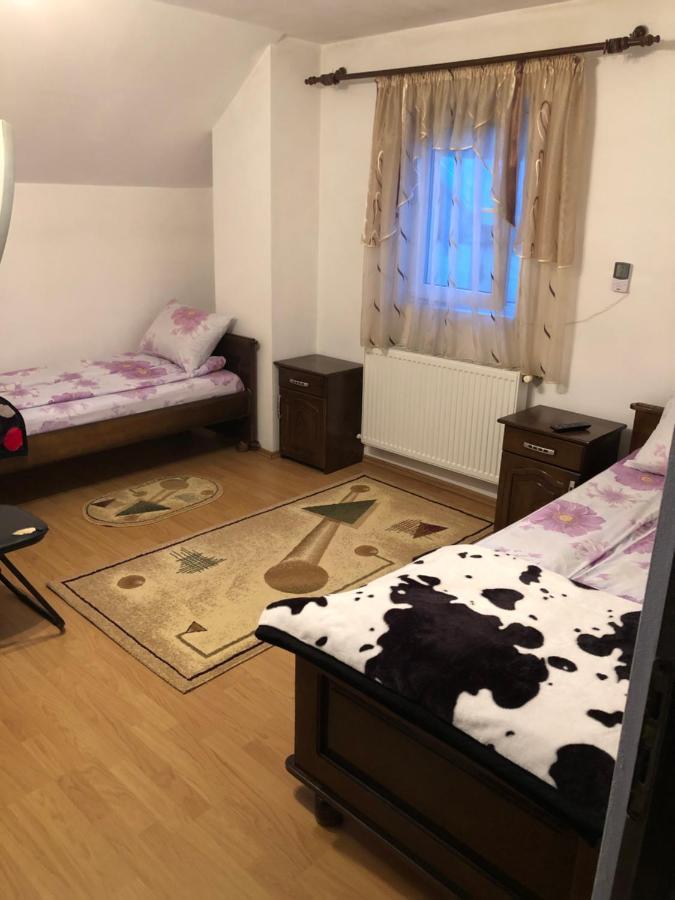 Pensiunea Morosanu Borşa Exterior foto